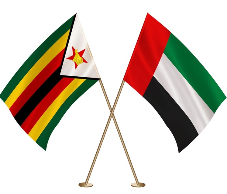 dubai visa for zimbabwe passport holders from uk